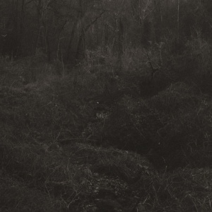 Lesley Mok - TRANSIENT (1 x LP)