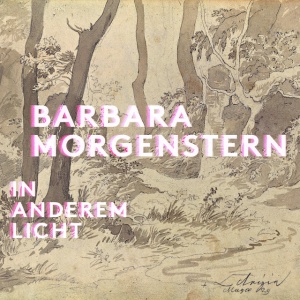 MORGENSTERN, BARBARA - IN ANDEREM LICHT
