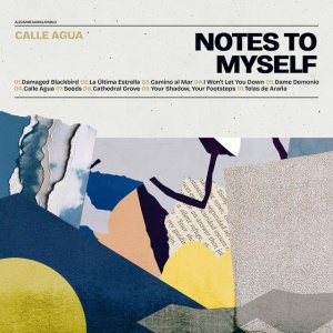 Notes To Myself - CALLE AGUA (1 x LP)