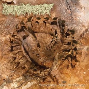 Pharmacist - VERTEBRAE AFTER VERTEBRAE (1 x LP)