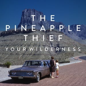 PINEAPPLE THIEF - YOUR WILDERNESS