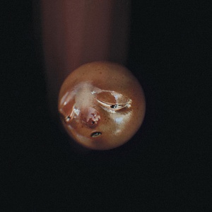 POOLBLOOD - MOLE