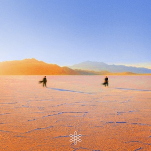 Praana - INSIGHT OUT (2 x LP)