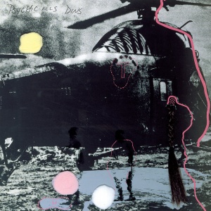 Psychic Ills - DINS (1 x LP)