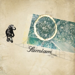 SAMIAM - TRIPS