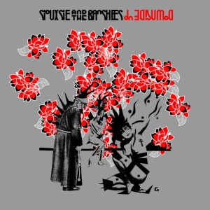 Siouxsie And The Banshees - DOWNSIDE UP (3 x CD)