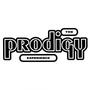 The Prodigy - EXPERIENCE (1 x CD)