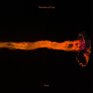 Theorem Of Joy - FEUX (1 x LP)
