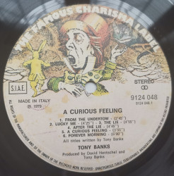 Tony Banks – албум A Curious Feeling - Img 2