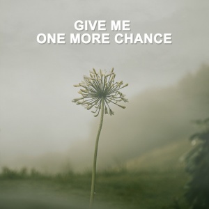 Various Artists - ONE MORE CHANCE (1 x LP)