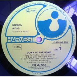 Vic Vergat ‎– албум Down To The Bone - Img 2