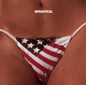 BLACK CROWES - AMORICA
