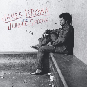 BROWN, JAMES - IN THE JUNGLE GROOVE