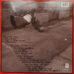 Butch Hancock ‎– албум Own & Own - Img 2
