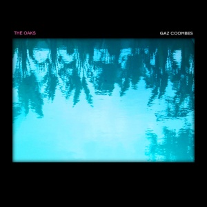 Gaz Coombes - THE OAKS (1 x LP)