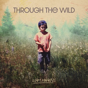 Liam Higgins - THROUGH THE WILD (1 x CD)