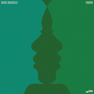 Meshell Ndegeocello - SYNONYM (1 x CD)