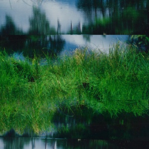 Oyubi - WHITE BIRCH BURNS (1 x CD)