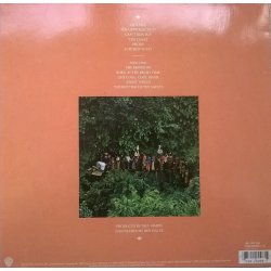 Paul Simon ‎– албум The Rhythm Of The Saints - Img 3