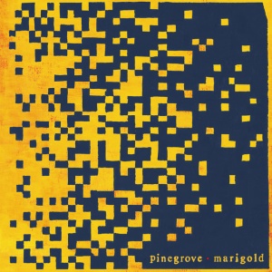 PINEGROVE - MARIGOLD
