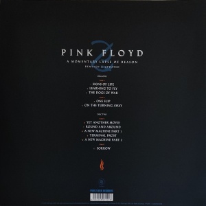 Pink Floyd – албум A Momentary Lapse Of Reason (Remixed & Updated) - Img 2