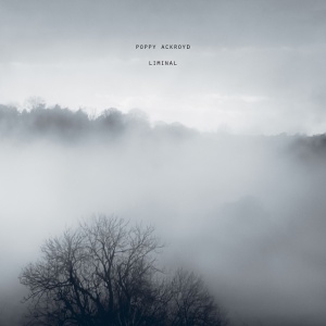 Poppy Ackroyd - LIMINAL (1 x LP)