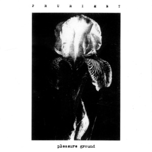 Prurient - PLEASURE GROUND (1 x LP)