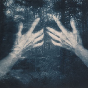 SANTOS SILVA, SUSANA - ALL THE BIRDS AND A TELEPHONE RINGING
