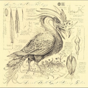 SARAH BELLE REID &... - ACCIDENTAL ORNITHOLOGY