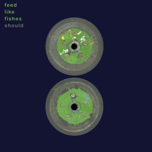 SHOULD - FEED LIKE FISHES