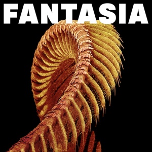 Slift - FANTASIA (1 x CD)