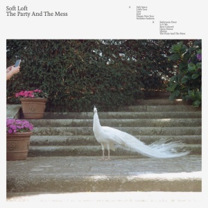 SOFT LOFT - THE PARTY AND THE MESS