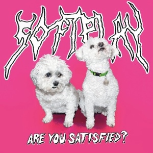 SOFT PLAY - ARE YOU SATISFIED?
