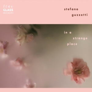 Stefano Guzetti - IN A STRANGE PLACE (1 x CD)