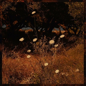SZUN WAVES - EARTH PATTERNS