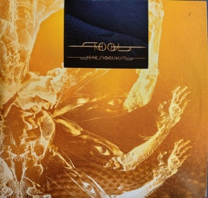 TOOL - FEAR INOCULUM (2xLP)