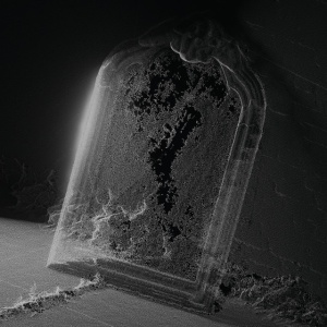 Visible Cloaks - PARADESSENCE (1 x LP)