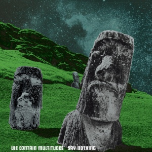 We Contain Multitudes - SAY NOTHING (1 x LP)