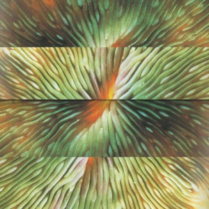 ACTIVE SURPLUS - MIRRORING