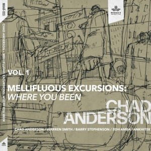 ANDERSON, CHAD - MELLIFLUOUS EXCURSIONS VOL.1: WHERE YOU BEEN