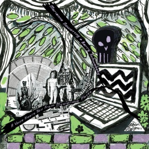 Barry & Marianne Nowottny Schwabsky - A VOICE HEARS YOU FROM MYSTERIOUS PLACES (1 x CD)