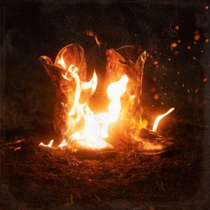 Ben Fuller - WALK THROUGH FIRE (2 x LP)
