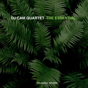 DULFER, CANDY - ESSENTIAL