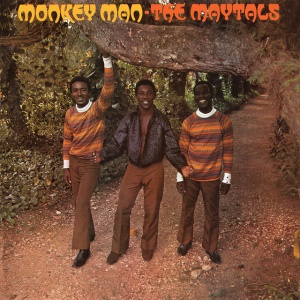 MAYTALS - албум MONKEY MAN (Limited Edition, Numbered, Yellow Colour)