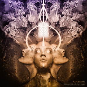 MR. BISON - ECHOES FROM THE UNIVERSE (1 x LP)