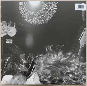 Mudhoney – албум Superfuzz Bigmuff - Img 2