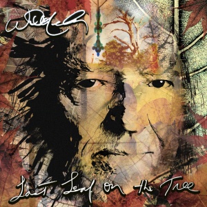 NELSON, WILLIE - Last Leaf On The Tree