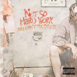 Not So Hard Work - YOU CAN'T FIX STUPID (1 x CD)