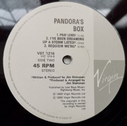 Pandora's Box – сингъл It's All Coming Back To Me Now - Img 2