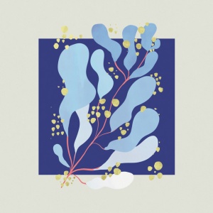 SALAMANDA - IN PARALLEL